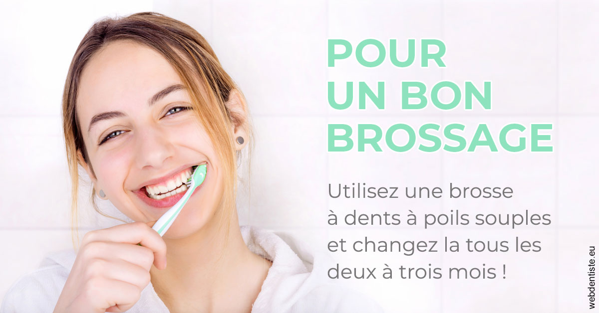 https://www.abcd-dentiste.fr/Pour un bon brossage 2