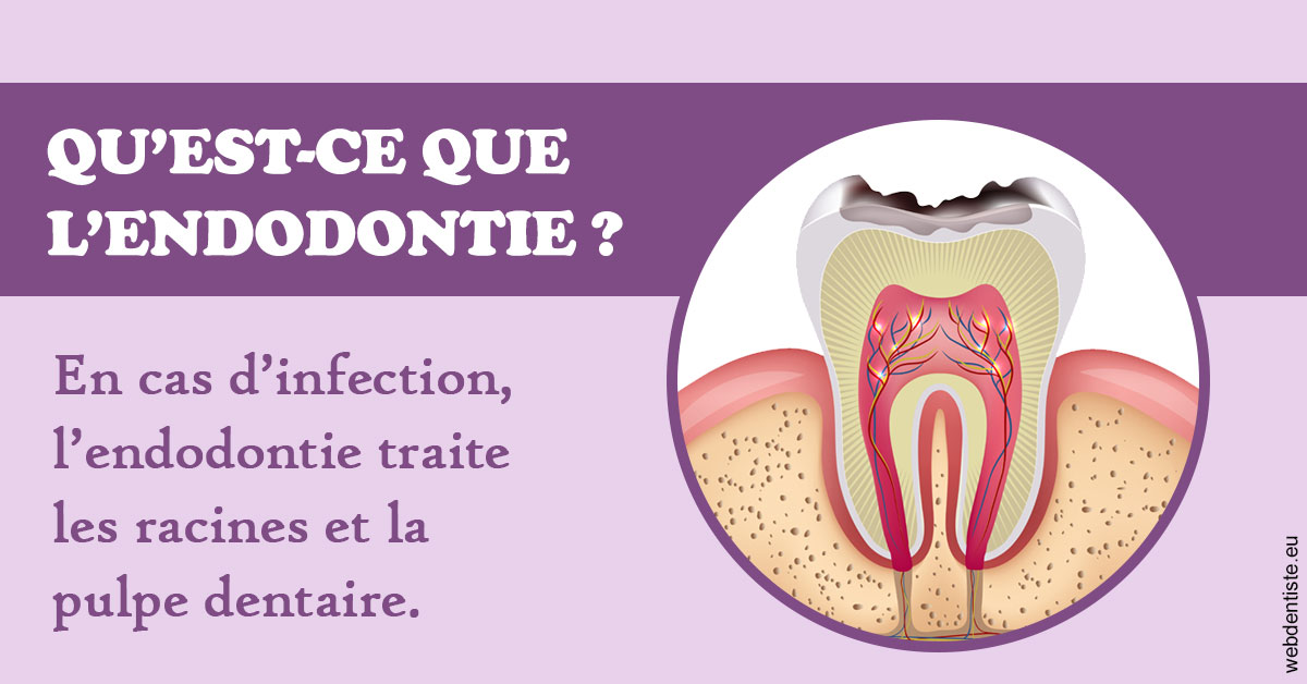 https://www.abcd-dentiste.fr/2024 T1 - Endodontie 02