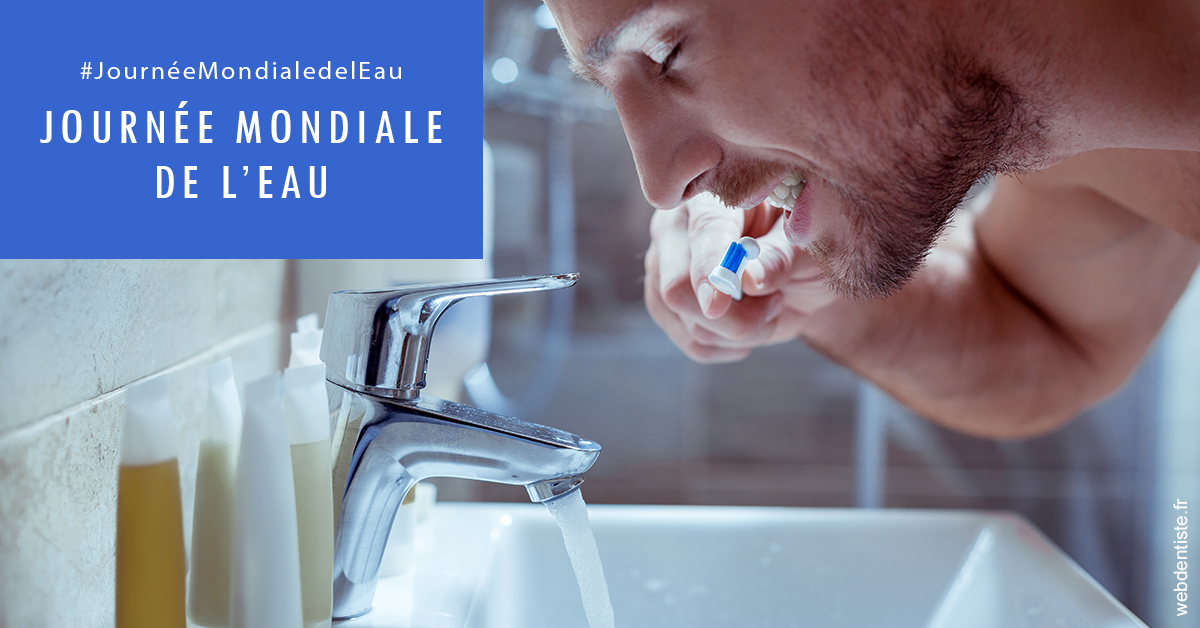 https://www.abcd-dentiste.fr/Journée de l'eau 2