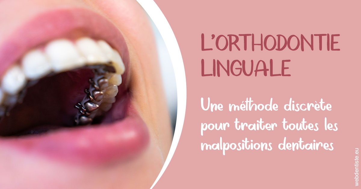 https://www.abcd-dentiste.fr/L'orthodontie linguale 2