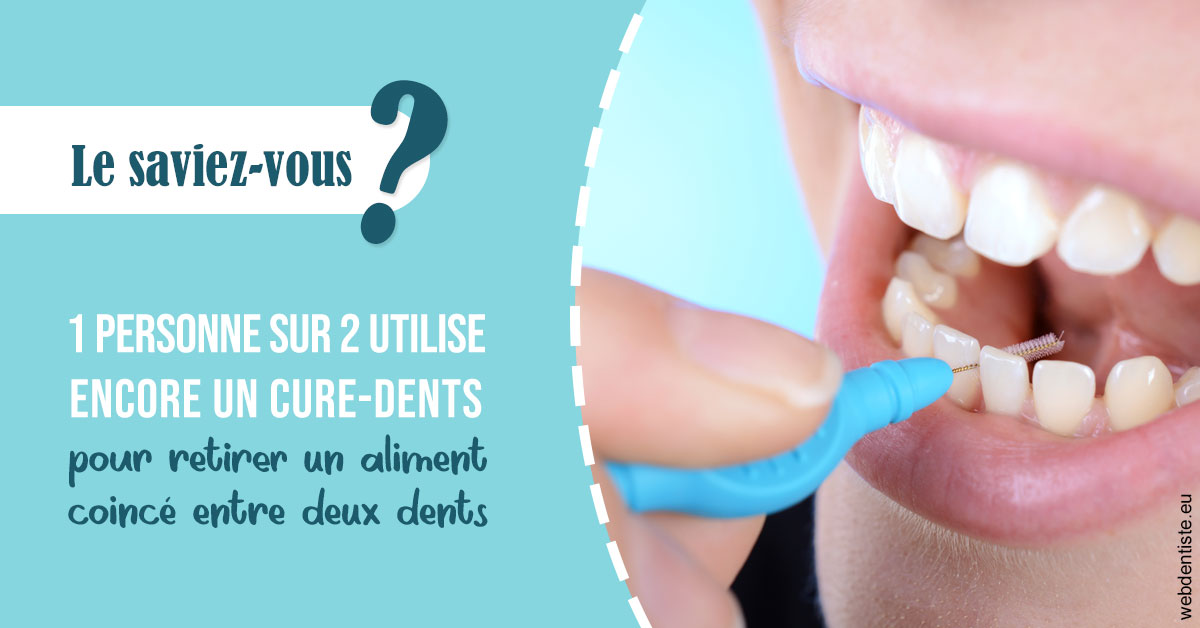 https://www.abcd-dentiste.fr/Cure-dents 1
