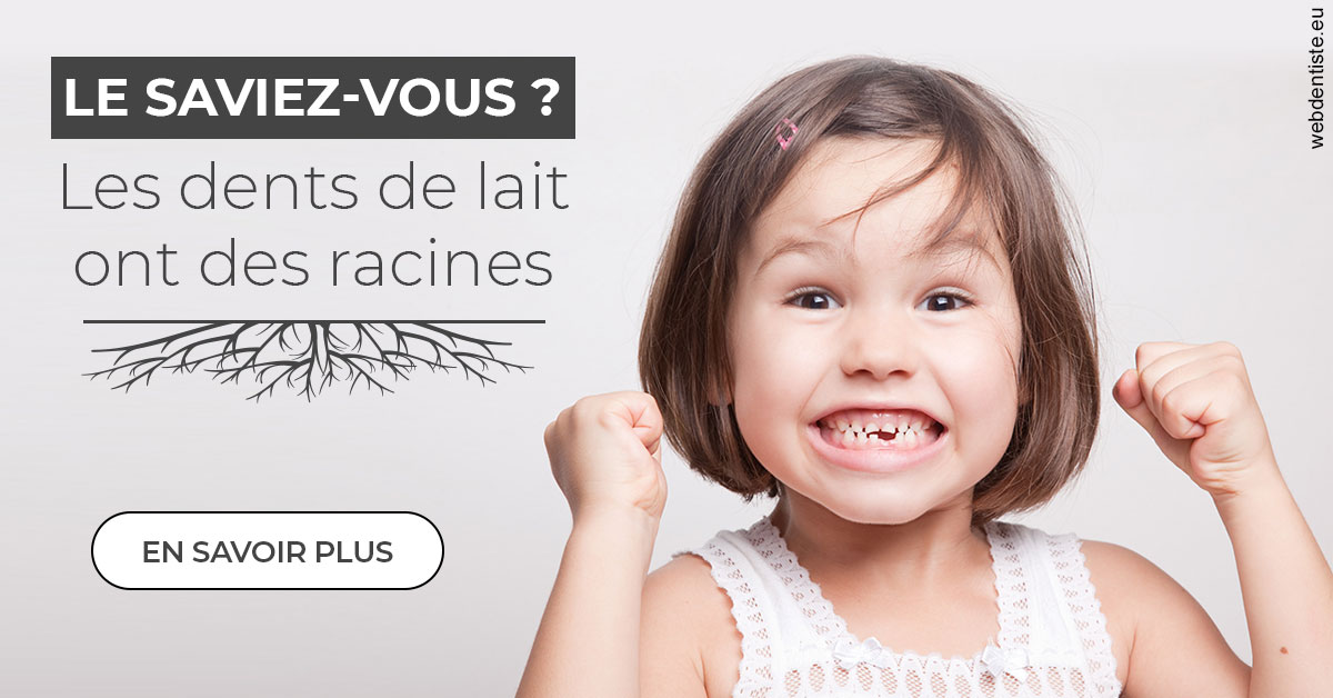 https://www.abcd-dentiste.fr/Les dents de lait