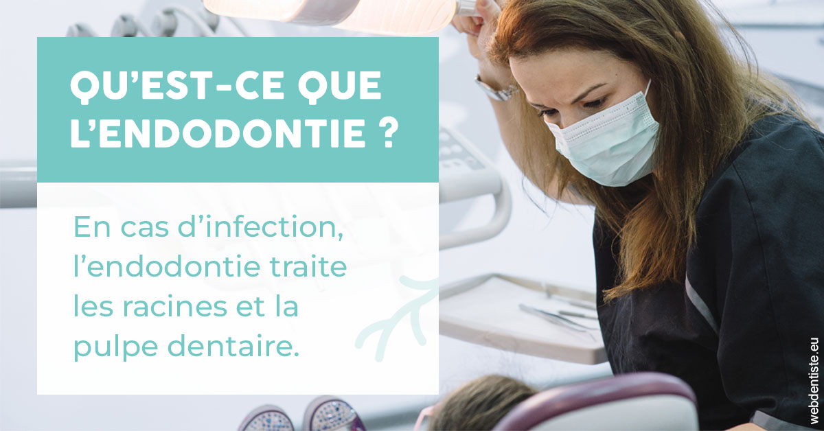 https://www.abcd-dentiste.fr/2024 T1 - Endodontie 01