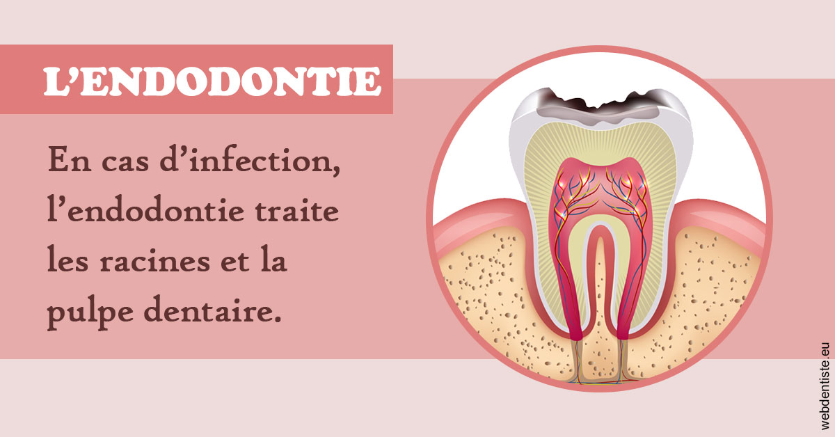 https://www.abcd-dentiste.fr/L'endodontie 2